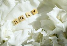 Umat yang Dipilih dan Kudus white and brown love letter