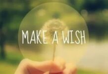What Do You Wish For?