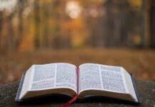 Diawali Dengan Meneliti Firman Tuhan