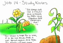 Apa Tujuan Hidup Manusia di bumi ?