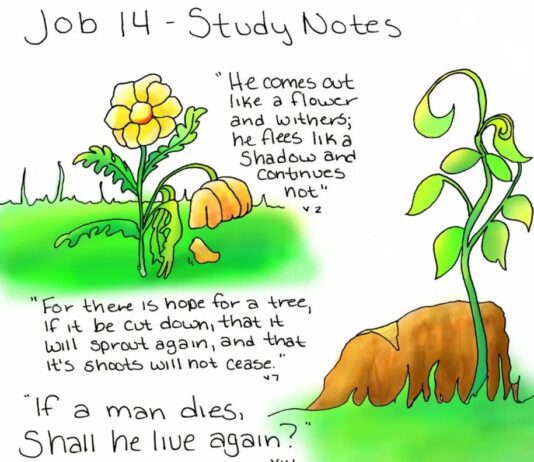 Apa Tujuan Hidup Manusia di bumi ?