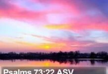 Be Careful with What You Wish For