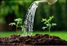 Mencari Perkenanan Tuhan