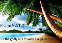 Menjalani Hidup dengan Keputusan-keputusan yang tepat