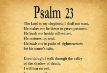 Jaminan Perlindungan