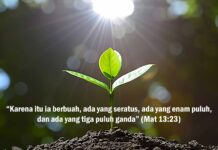 Bagaimana Ini……?