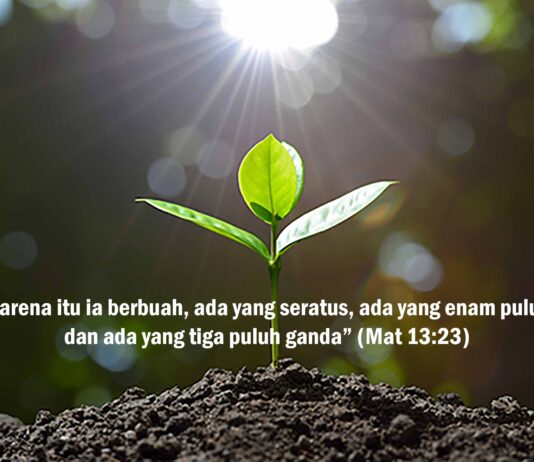 Bagaimana Ini……?