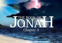 Kesempatan Kedua dan Kesempatan Terakhir (Second Chance and Last Chance)