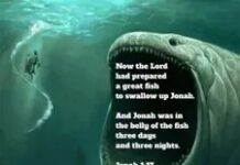 Yunus si Ekstrimis (The extremist Jonah)