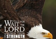 Kepada siapa kita Menggantungkan Harapan