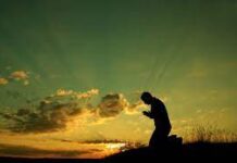 I Will Stand & I Will Keep Watch