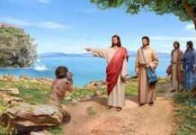 Build Up The Wall & Stand In The Gap Before Me For The Land