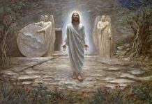 Menyukai Terang vs menyukai kegelapan