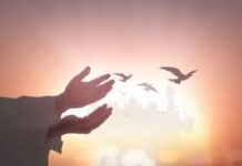 Jangan Kecewa! Karena Sesungguhnya…………