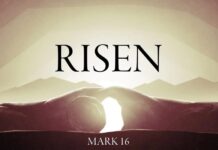 Why do You Still Unbelieve ?