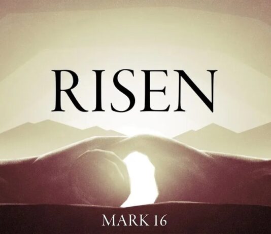 Why do You Still Unbelieve ?