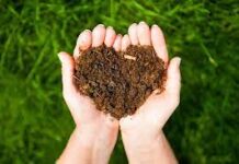 Karena Itu….. Perhatikanlah Cara Kamu Mendengar !