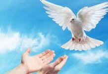 Kamu Harus Dilahirkan Kembali !