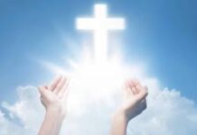 Jika Kamu Meminta…. Aku Akan Melakukannya!