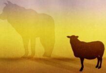 Hanya Yesus! …………Bukan Yesus Plus!!!