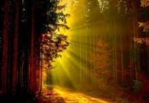 Kehidupan itu seperti Roda yang Berputar?