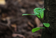 Sudah Jadi Orang Benar?