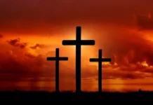 Anak-Anak Allah vs anjing, babi