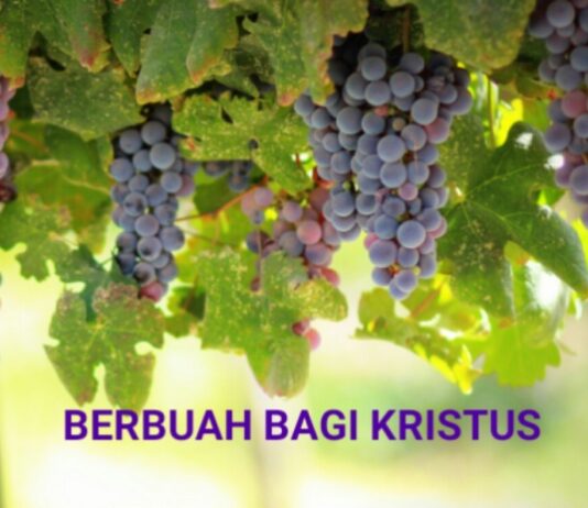 Cara Mendengar Firman Adalah Penentu Utama Bagaimana Kehidupan Akan Kita Jalani (Bagian 2)