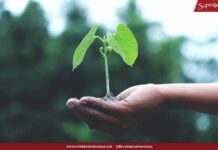 Yang Mendengarkan & Melakukannya…. Sudahkah Kita?