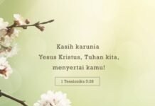 Once Upon a Time at Bethesda with Jesus