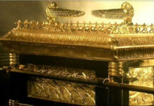 Imamat Rajani, Bangsa Yang Kudus! Woww…! Inilah Rancangan Tuhan Untuk Saya!