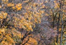 Jangan Terburu-Buru…. Tuhan Masih Pegang kendali!