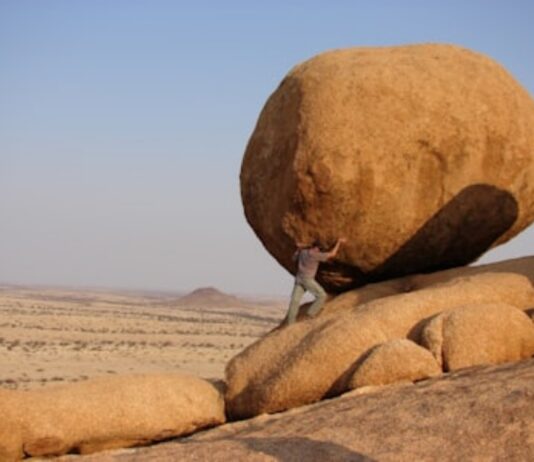 Your Own Eyes Have Seen