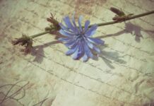 Simple…. Just Obey! Jangan Dibikin Ribet!