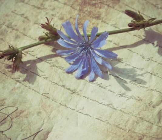 Simple…. Just Obey! Jangan Dibikin Ribet!