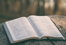 Man Does’t Live By Bread Alone …. But……..