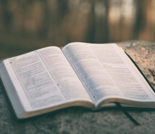 Man Does’t Live By Bread Alone …. But……..